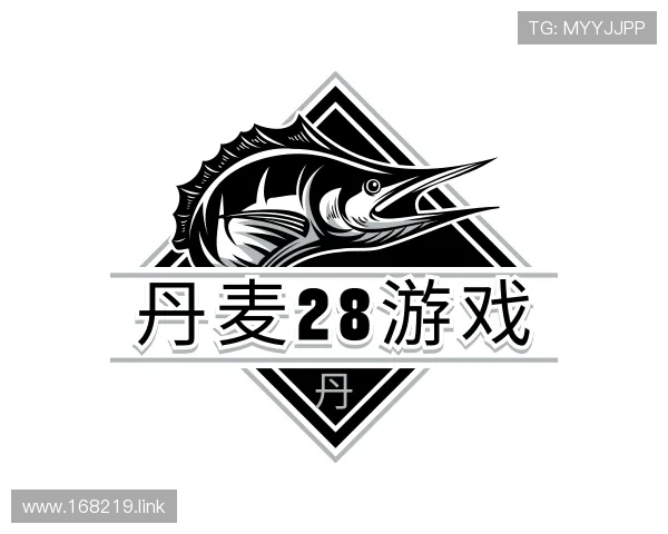 领悟丹麦28游戏